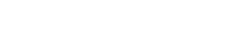 Cortex